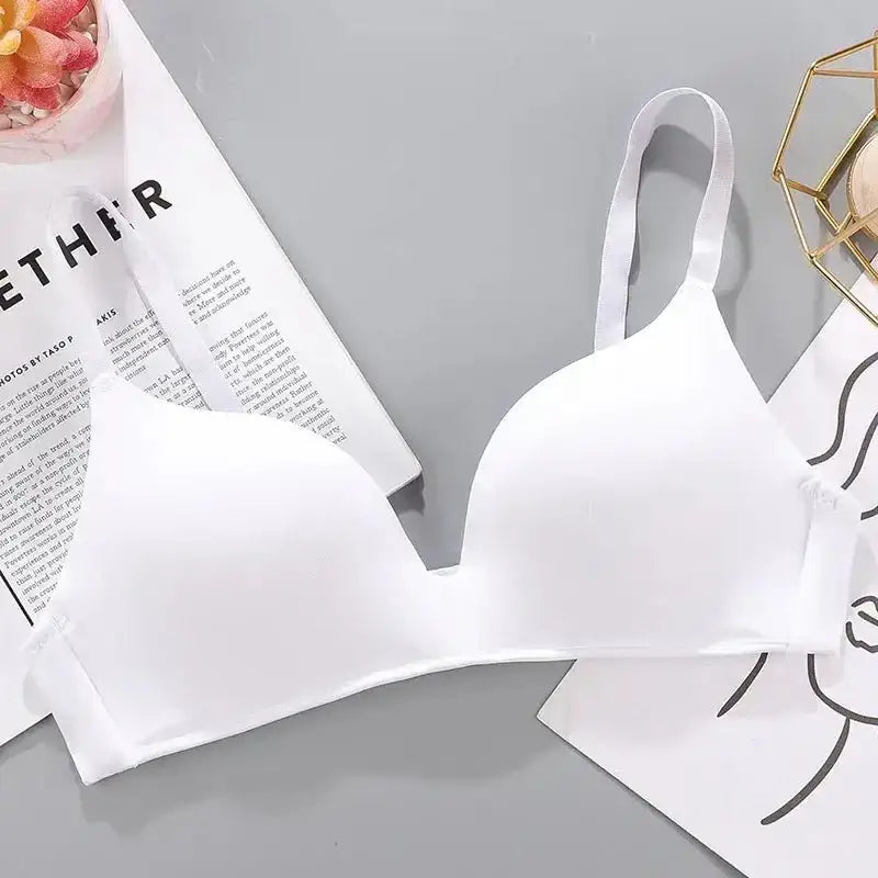 Women Seamless Bra Sexy No Wire Push Up Underwear Girls Students Breathable Thin 10 Colors Bras Female's Bra Breathable Gathered - The Lady's Haven