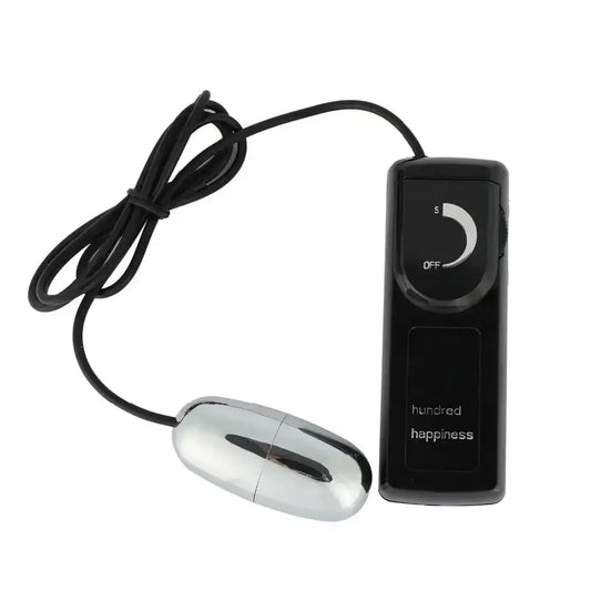 Silver mini vibrating egg with black controller from Hundred Happiness.