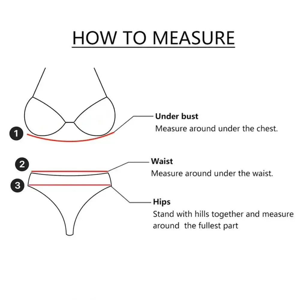 Women Sexy Lace Lingerie Fashion Wire Free Sexy Underwear Set For Women Plus Size Perspective Sexy Lingerie For Women Sleepwear - The Lady's Haven