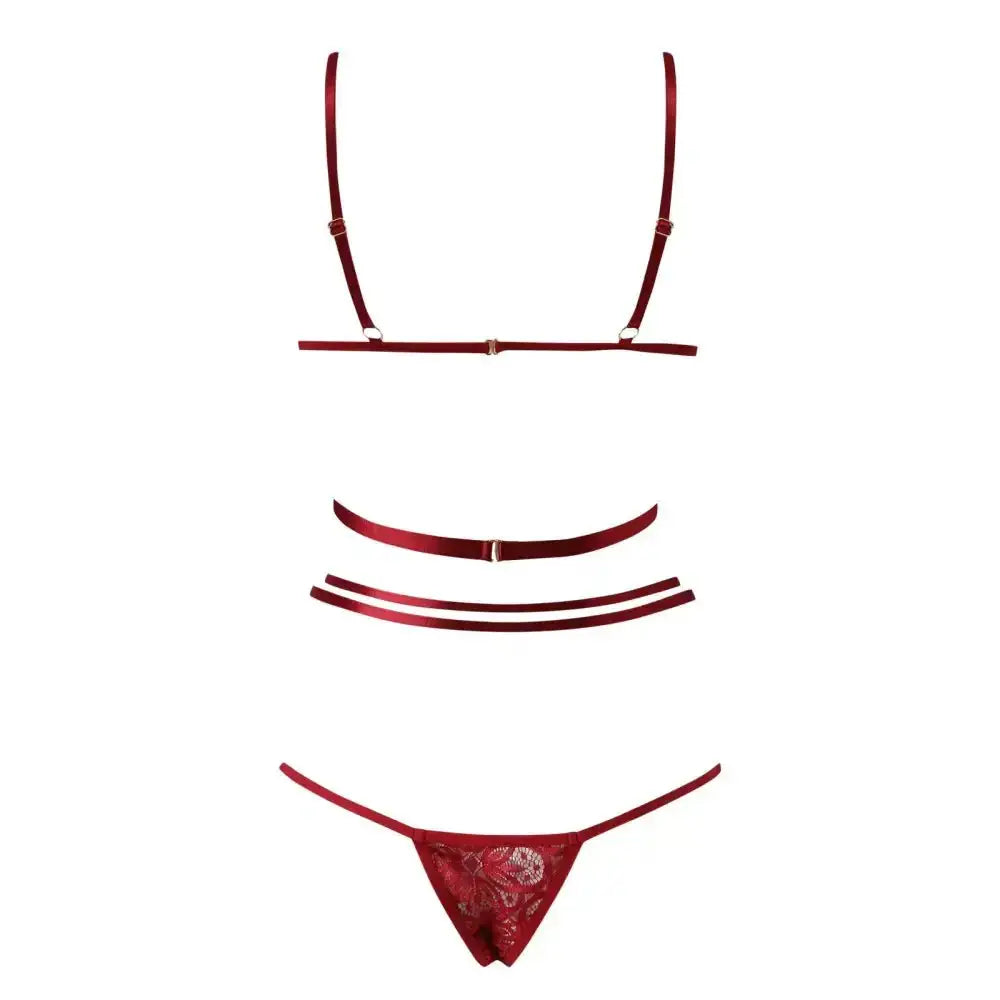 Women Sexy Lace Lingerie Fashion Wire Free Sexy Underwear Set For Women Plus Size Perspective Sexy Lingerie For Women Sleepwear - The Lady's Haven